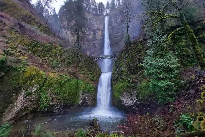 Afternoon Tour in Columbia Gorge Waterfall with Free Wine Tasting