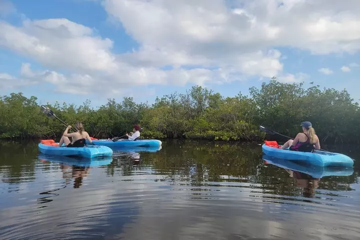 New Smyrna Dolphin and Manatee Kayak and SUP Adventure Tour