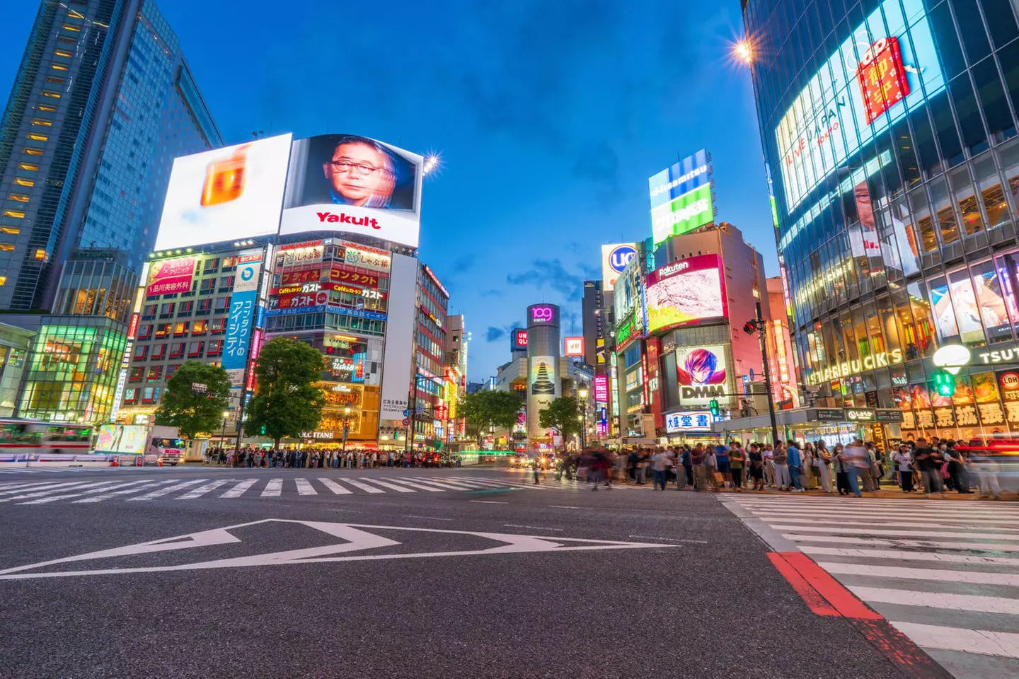 ✈ JAPAN | Von Osaka nach Tokio - Rundreise Kyoto - Hakone - Tokio 4...