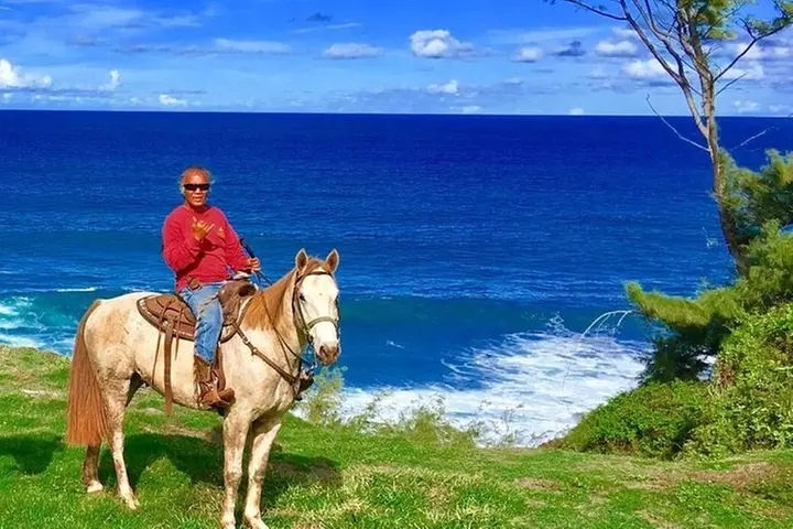 West Maui Mountain Waterfall and Ocean Tour via Horseback