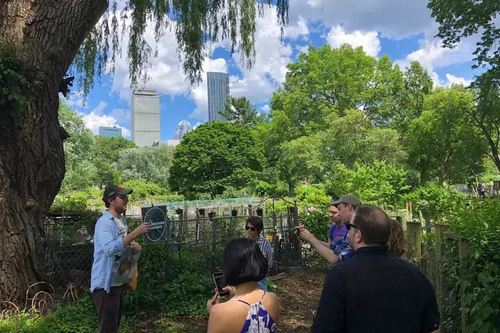 Tour Boston's Rock and Roll Past and Present by Soundscape Tours