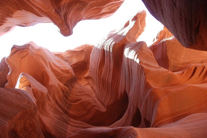 Las Vegas and National Parks 6 Day Tour from San Francisco