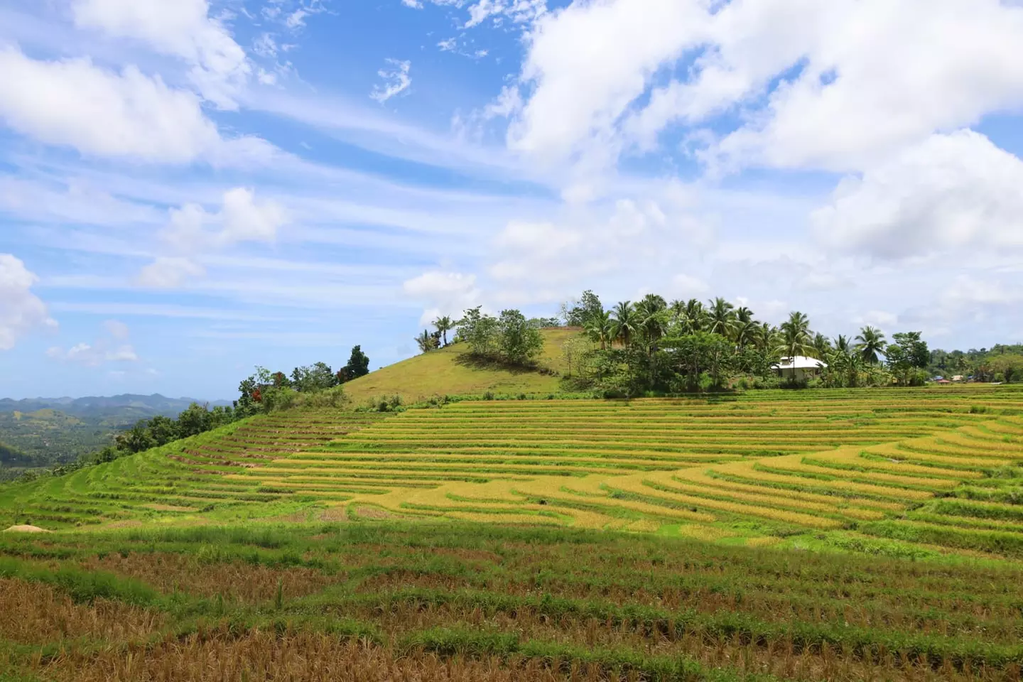 ✈ PHILIPPINEN | Manila - Perlen der Philippinen in 3* und 4* Hotels...