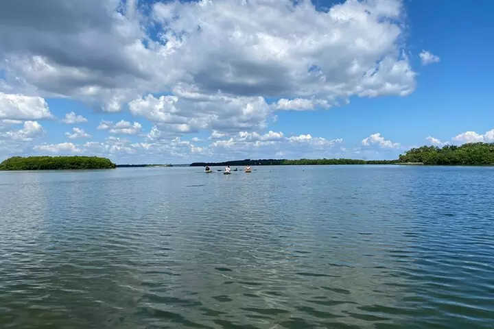 Kayak Adventure at Shell Key Preserve in Tierra Verde