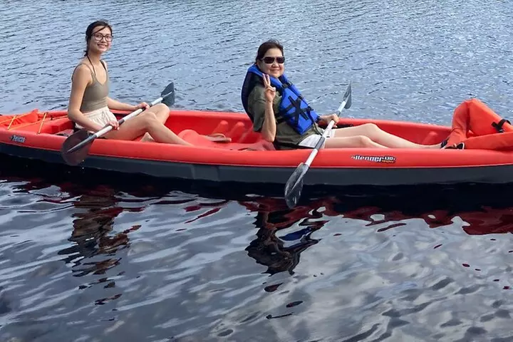 New Smyrna Dolphin and Manatee Kayak and SUP Adventure Tour