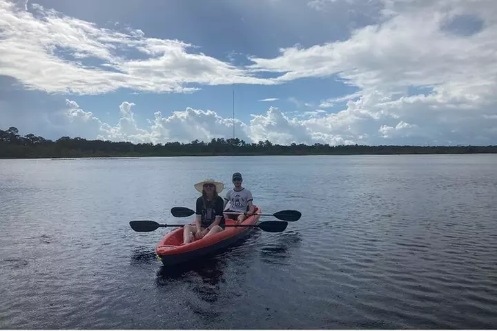 New Smyrna Dolphin and Manatee Kayak and SUP Adventure Tour