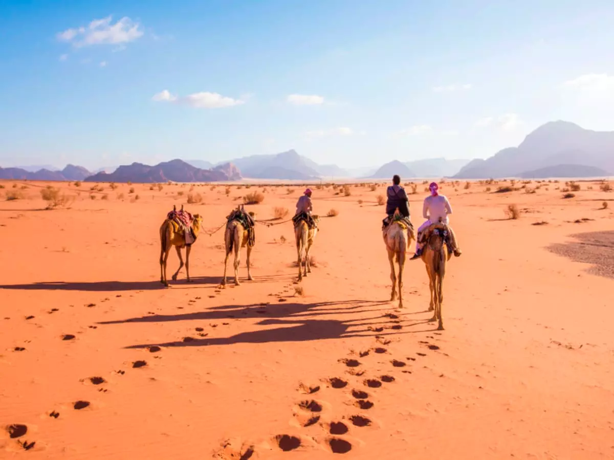 ✈ GIORDANIA | Amman - Tour privato Storia e Natura con Mar Rosso 4*...