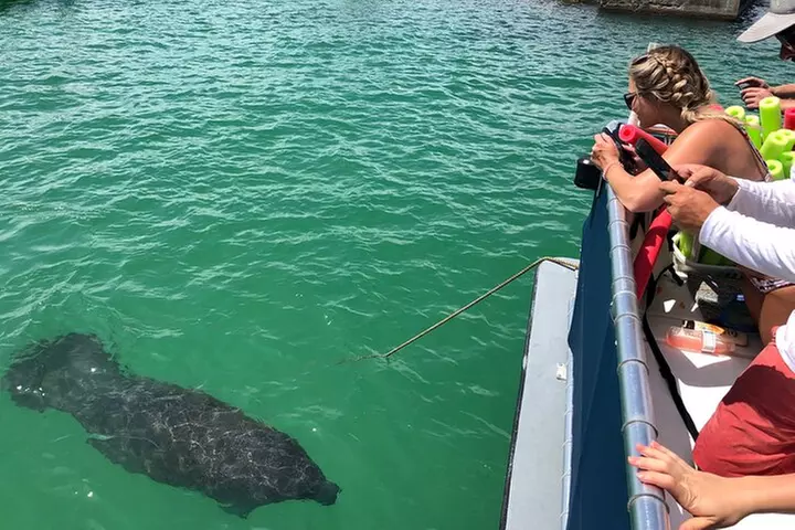 4 Hour Egmont Key Island Tour With Dolphins & Snorkeling Included