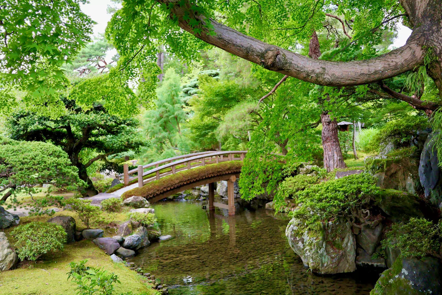 ✈ JAPAN | Von Tokio nach Osaka - Japan in 1001 Kontrasten 3*, 15 Nä...