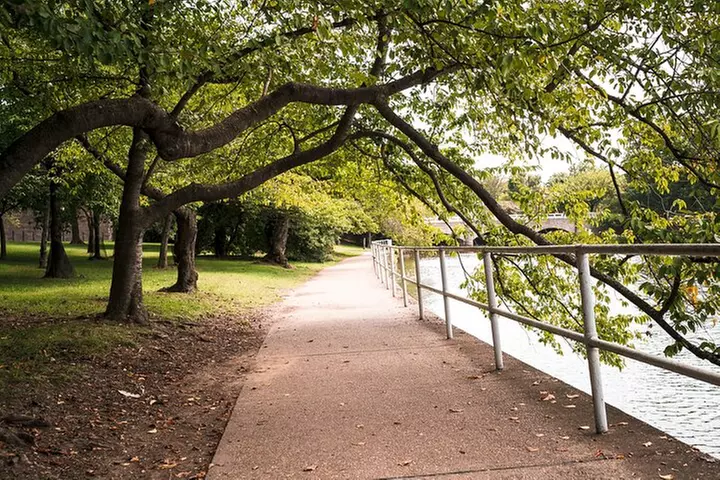 Top Tidal Basin Explorer of Thomas Jefferson FDR & MLK Memorials