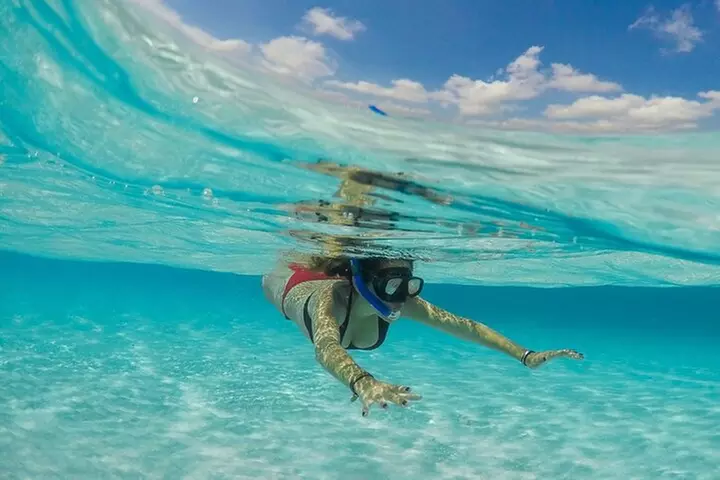 Snorkeling Experience in Cozumel with Transportation from Cancun