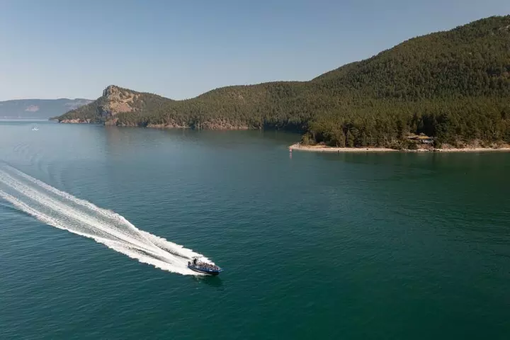 Anacortes Whale Watching Adventure Tour - Zodiac Boat