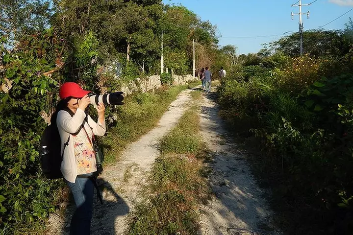 Private Tour: Birdwatching from Cancun