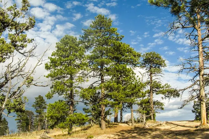 Black Canyon of the Gunnison NP Self-Guided Driving Audio Tour