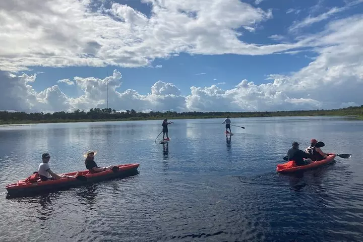 New Smyrna Dolphin and Manatee Kayak and SUP Adventure Tour