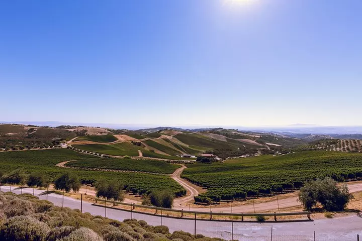 3-Winery Paso Robles Tour with Picnic Lunch from Paso Robles