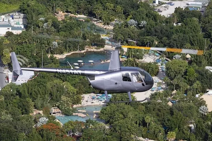 Day Flight 31 miles Helicopter Tour over all the Theme Parks