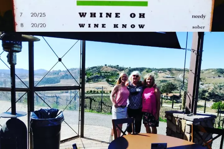 Temecula Valley Wineries and Vineyards Drink and Taste Tour From Or...