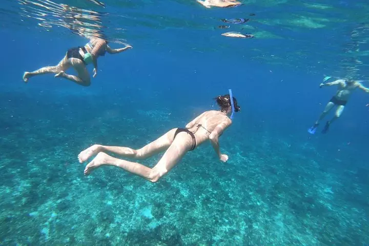 Snorkeling Experience in Cozumel with Transportation from Cancun