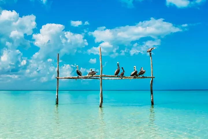 Holbox adventure and Pasion Island Cenote