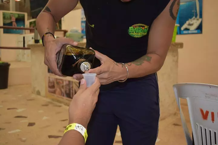 Cancun Best ATV Tour, Ziplines and Cenote Swim with Lunch