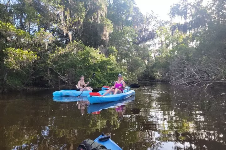 New Smyrna Dolphin and Manatee Kayak and SUP Adventure Tour