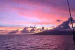 Maui: Original Sunset Cruise with Open Bar from Ka'anapali Beach