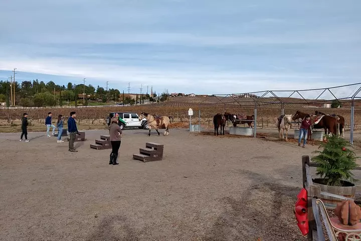 Temecula Valley Wineries and Vineyards Drink and Taste Tour From Or...