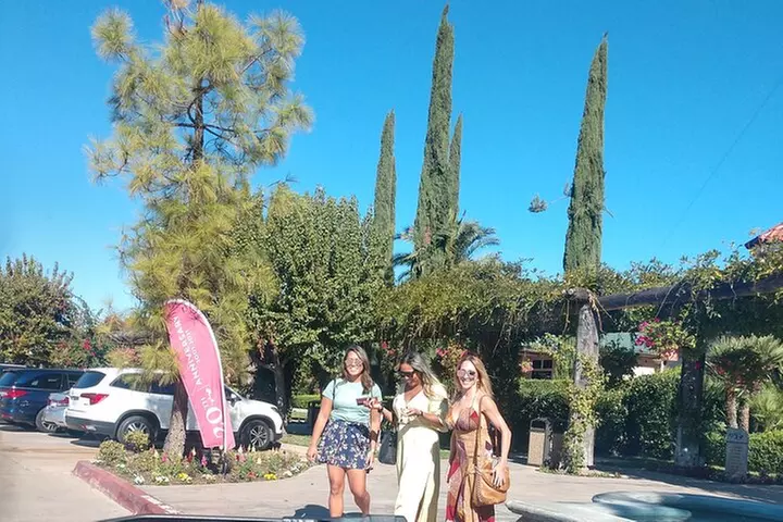 Temecula Valley Wineries and Vineyards Drink and Taste Tour From Or...