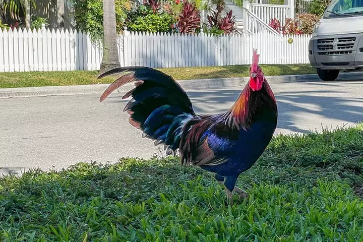 An Audio Guide of Key West's Journey From Village to Micro State