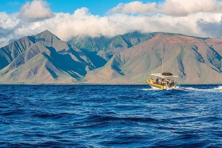 Lanai Deluxe Dolphin Adventure & 3 Snorkel Sites