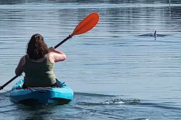 New Smyrna Dolphin and Manatee Kayak and SUP Adventure Tour