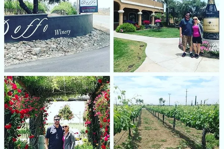 Temecula Valley Wineries and Vineyards Drink and Taste Tour From Or...