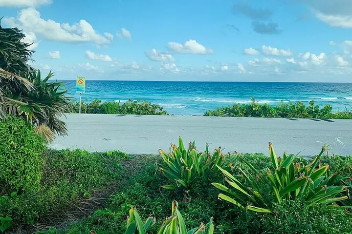 Cozumel Island Buggy Adventure! From Cancun & Playa Del Carmen