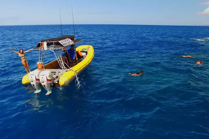 Lanai Deluxe Dolphin Adventure & 3 Snorkel Sites