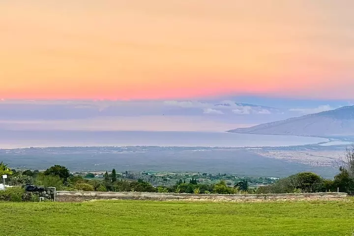 Maui Birdwatching at Maui Bird House