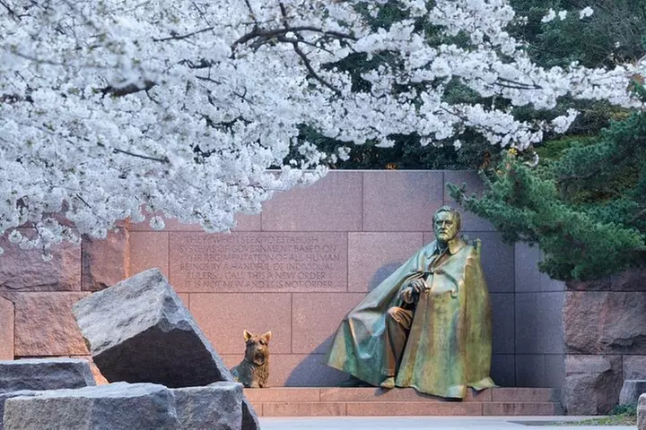 Top Tidal Basin Explorer of Thomas Jefferson FDR & MLK Memorials