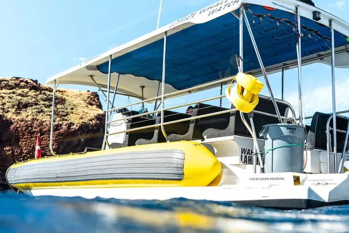 Lanai Deluxe Dolphin Adventure & 3 Snorkel Sites