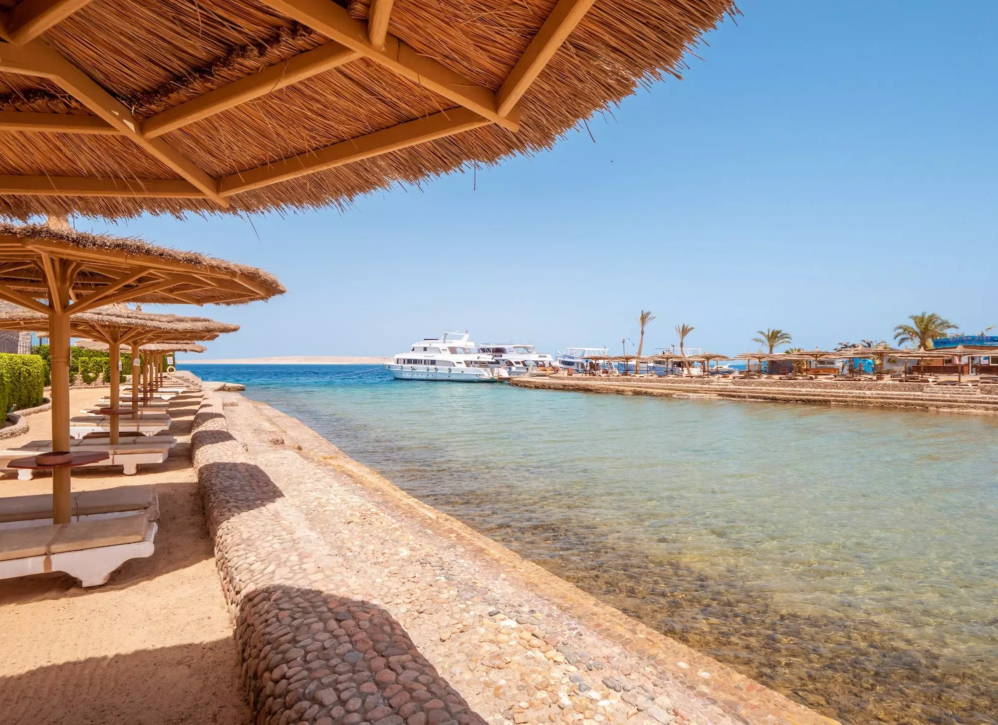 ✈ EGITTO | Hurghada - Sea Gull Beach Resort 4*, 7 notti - All inclu...