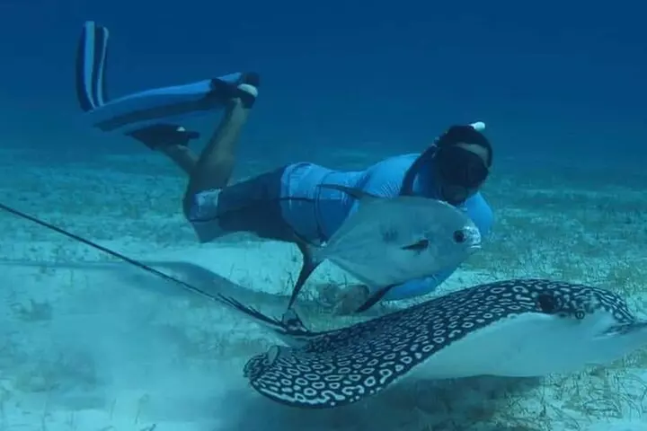 Snorkeling Experience in Cozumel with Transportation from Cancun