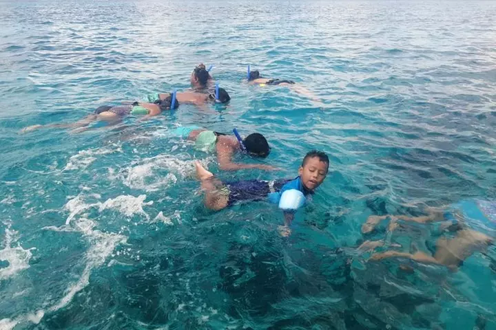 Snorkeling Experience in Cozumel with Transportation from Cancun