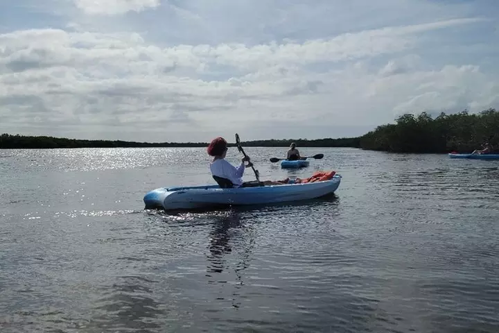 New Smyrna Dolphin and Manatee Kayak and SUP Adventure Tour