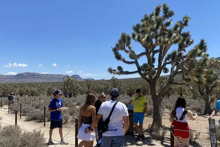 Historic Grand Canyon Western Ranch by Van with Helicopter Tour