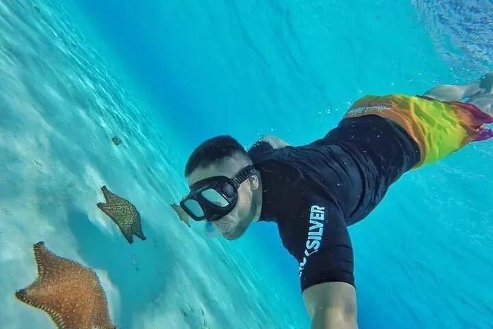 Snorkeling Experience in Cozumel with Transportation from Cancun