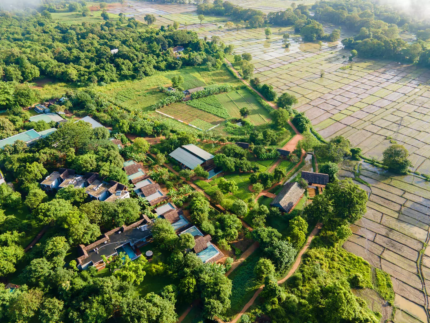 ✈ SRI LANKA | Da Colombo a Colombo - Nel cuore del benessere in Sri...