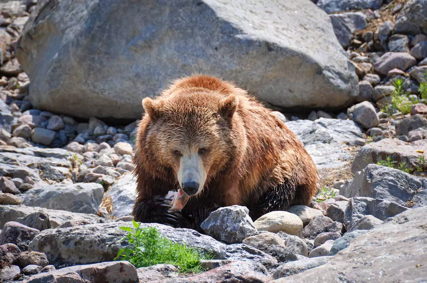 ✈ QUEBEC | Montreal - Autotour auf den Straßen von Québec 3*, 12 Nä...