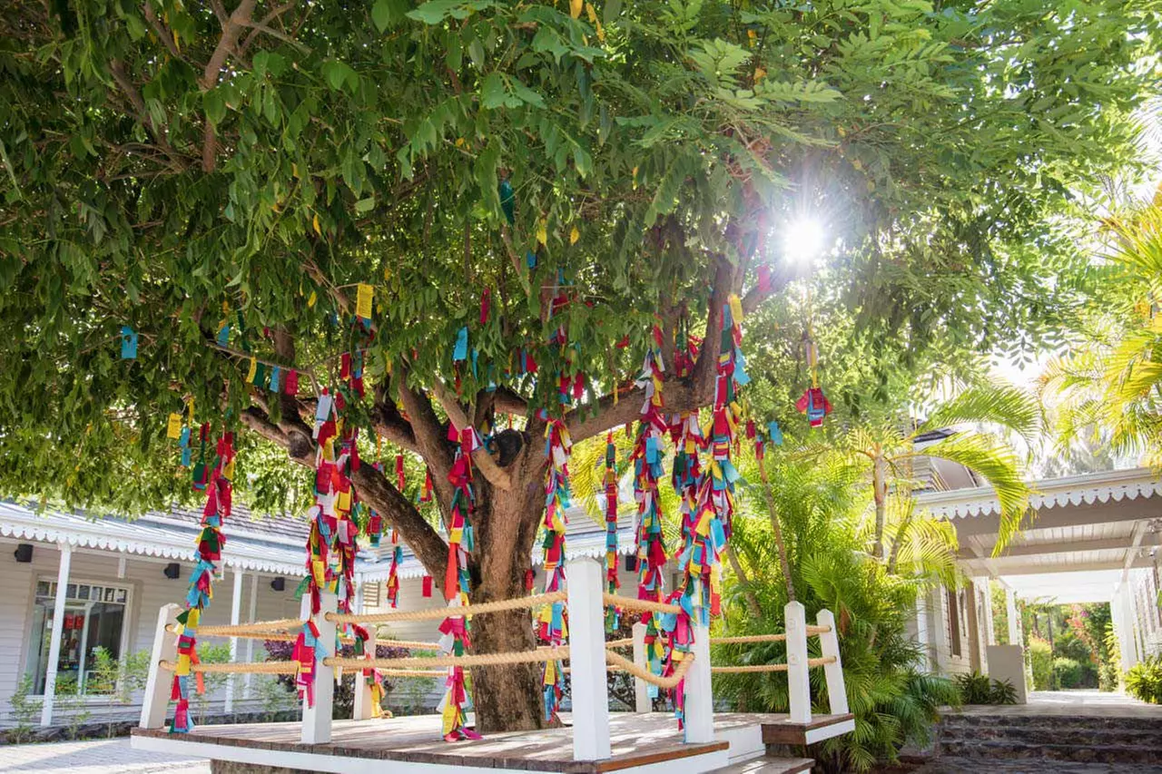 ✈ RIUNIONE | Saint-Gilles - LUX* Saint Gilles 5*, 4 notti - Premium