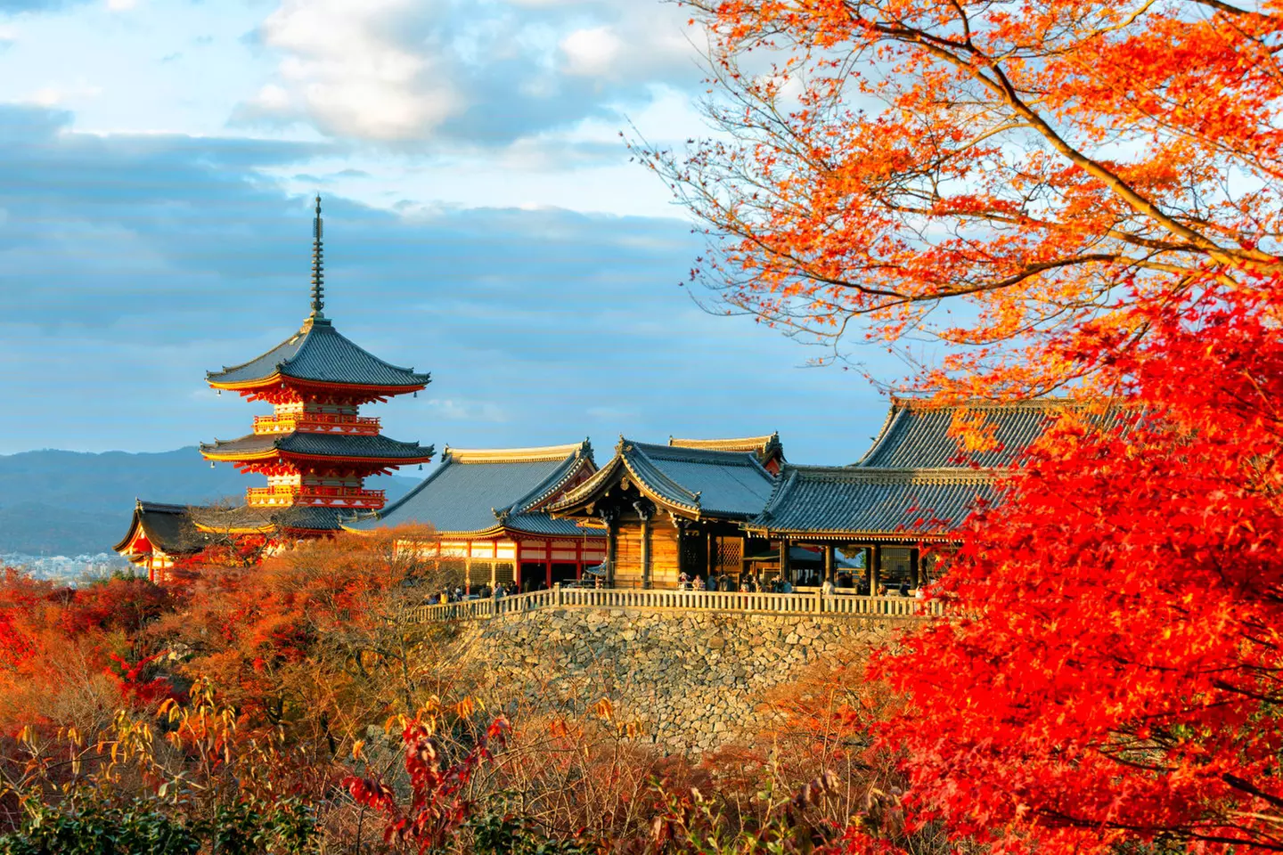 ✈ JAPAN | Von Osaka nach Tokio - Rundreise Kyoto - Hakone - Tokio 4...