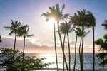 Maui: Wailele Luau with Fire and Knife Performance and Dinner