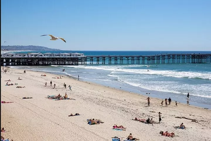 1 Day Adult Surf Retreat in San Diego